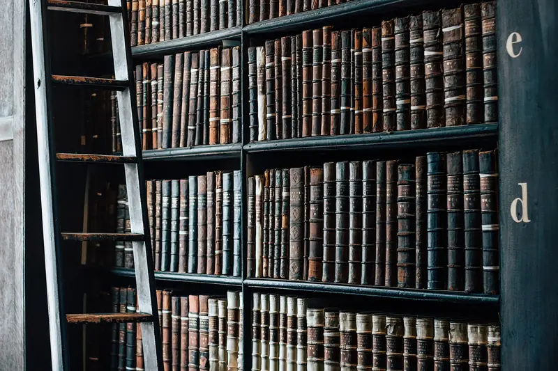 Bookshelves filled with academic books